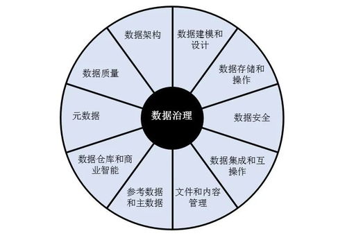 解密DAMA DMBoK框架 构建高效数据处理能力的综合方法